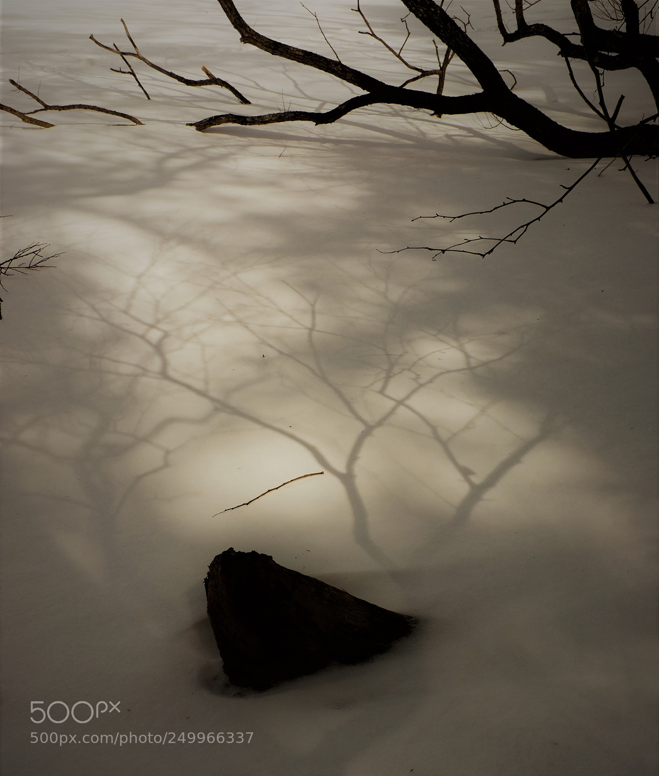 Fujifilm FinePix X100 sample photo. Casting shadows photography