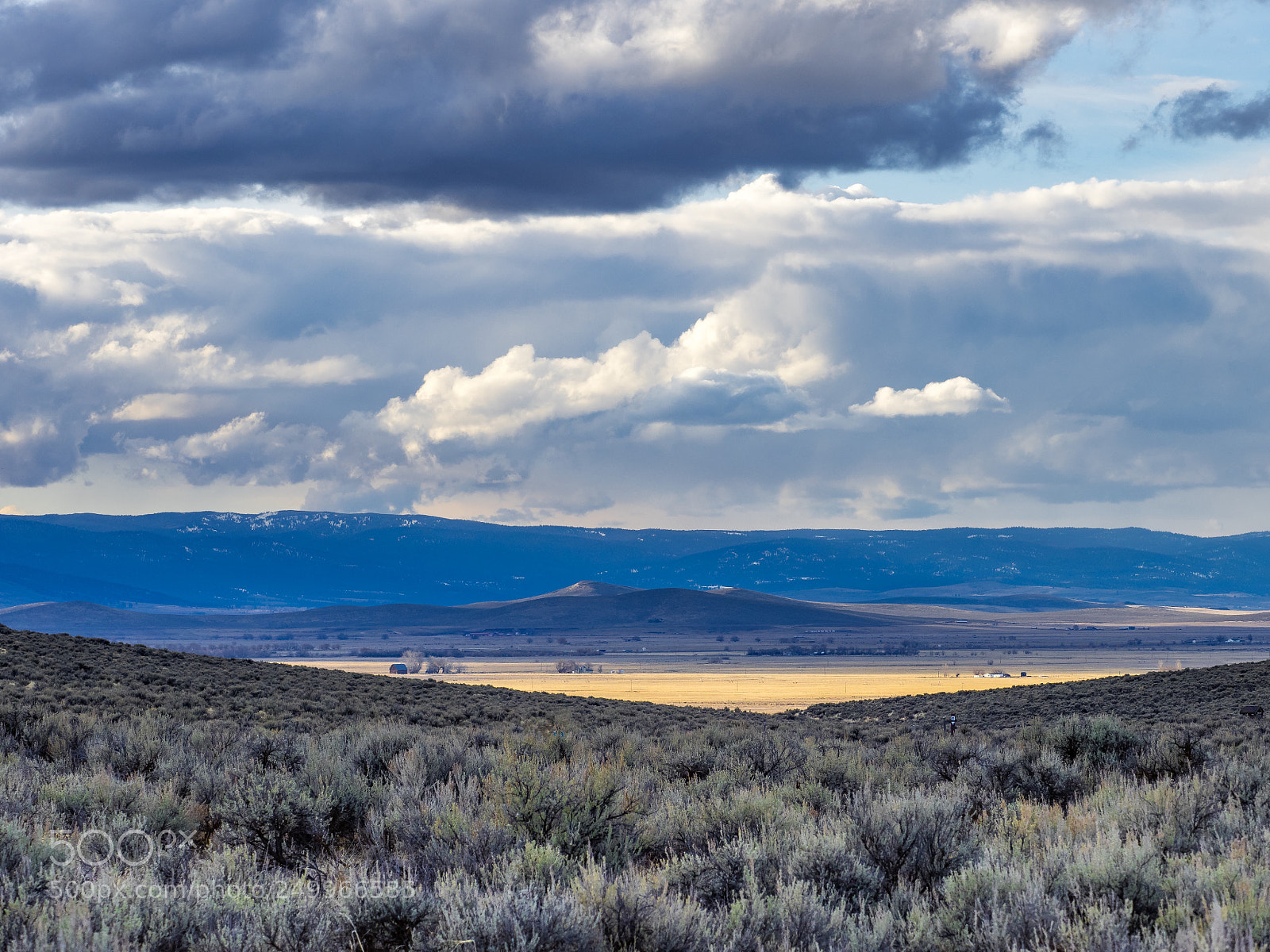 Olympus OM-D E-M1 sample photo. The oregon trail ruts photography