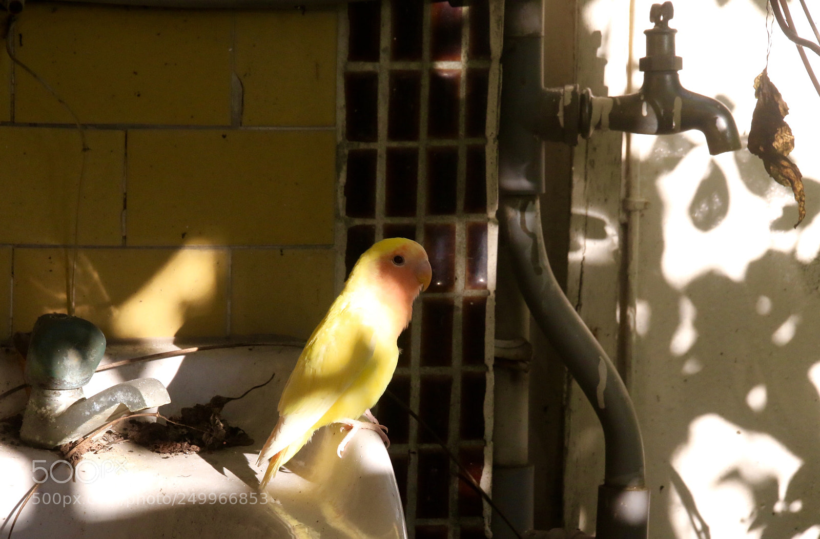 Canon EOS 7D Mark II sample photo. Untitled photography
