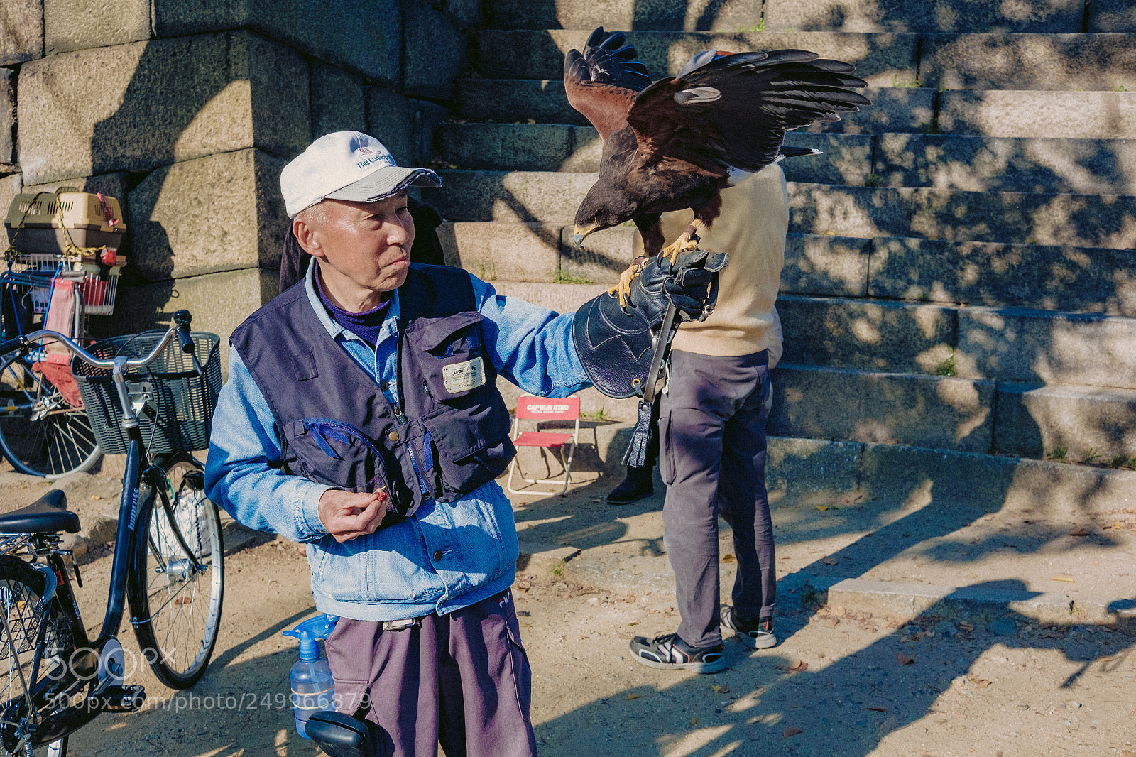 Fujifilm X-M1 sample photo. 老鷹 photography