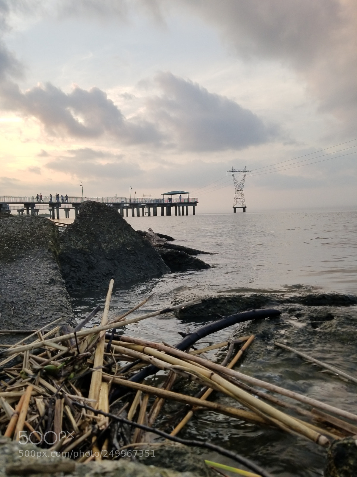 Samsung Galaxy S8+ sample photo. Untitled photography