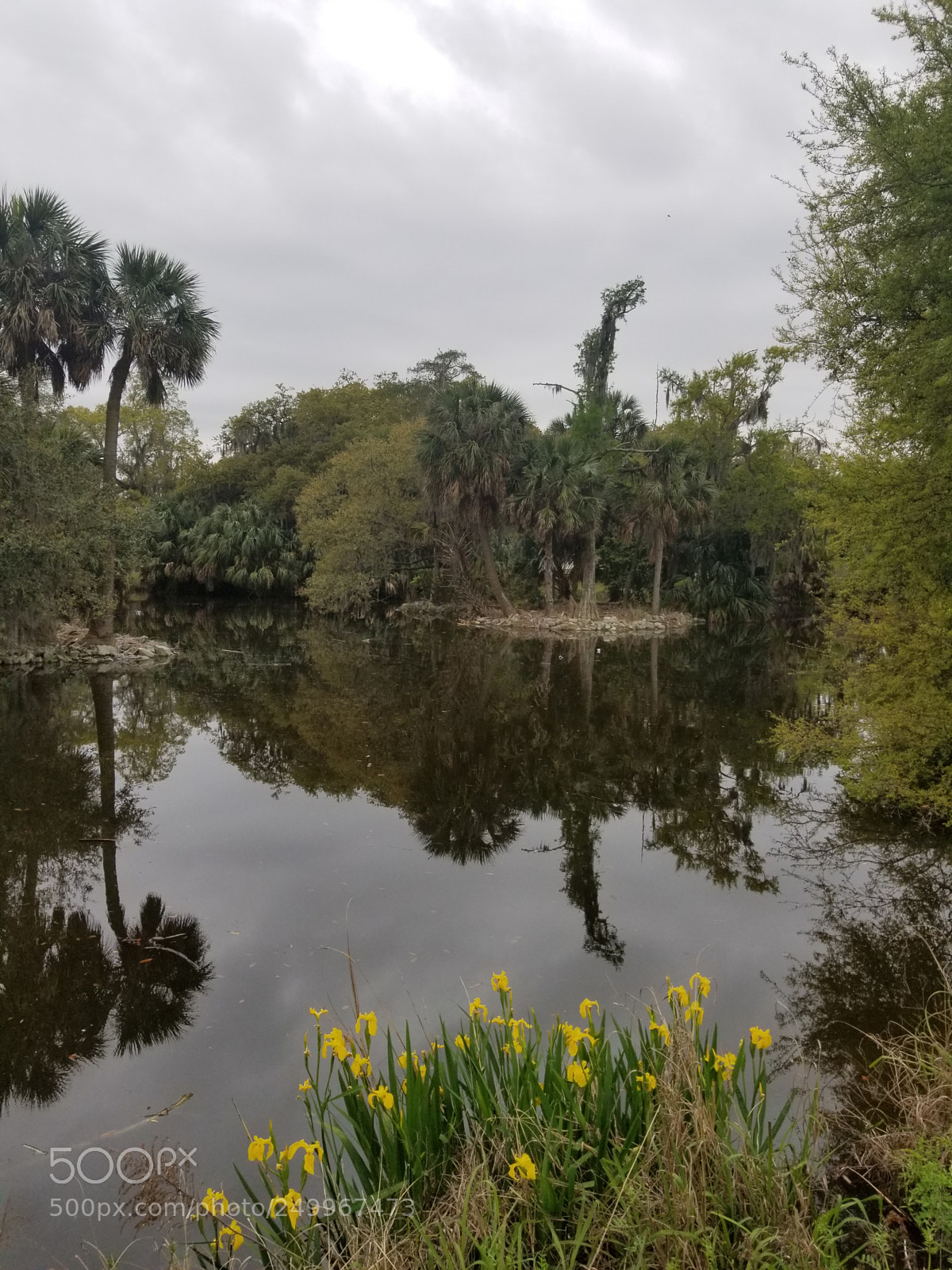 Samsung Galaxy S8+ sample photo. Untitled photography