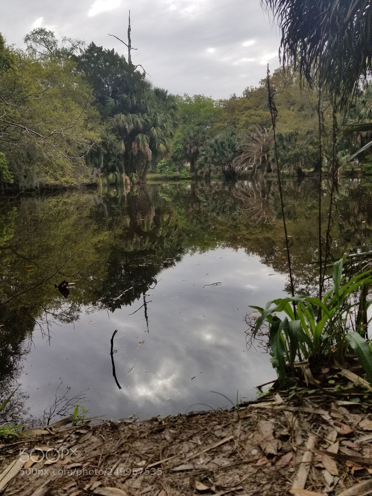 Samsung Galaxy S8+ sample photo. Untitled photography