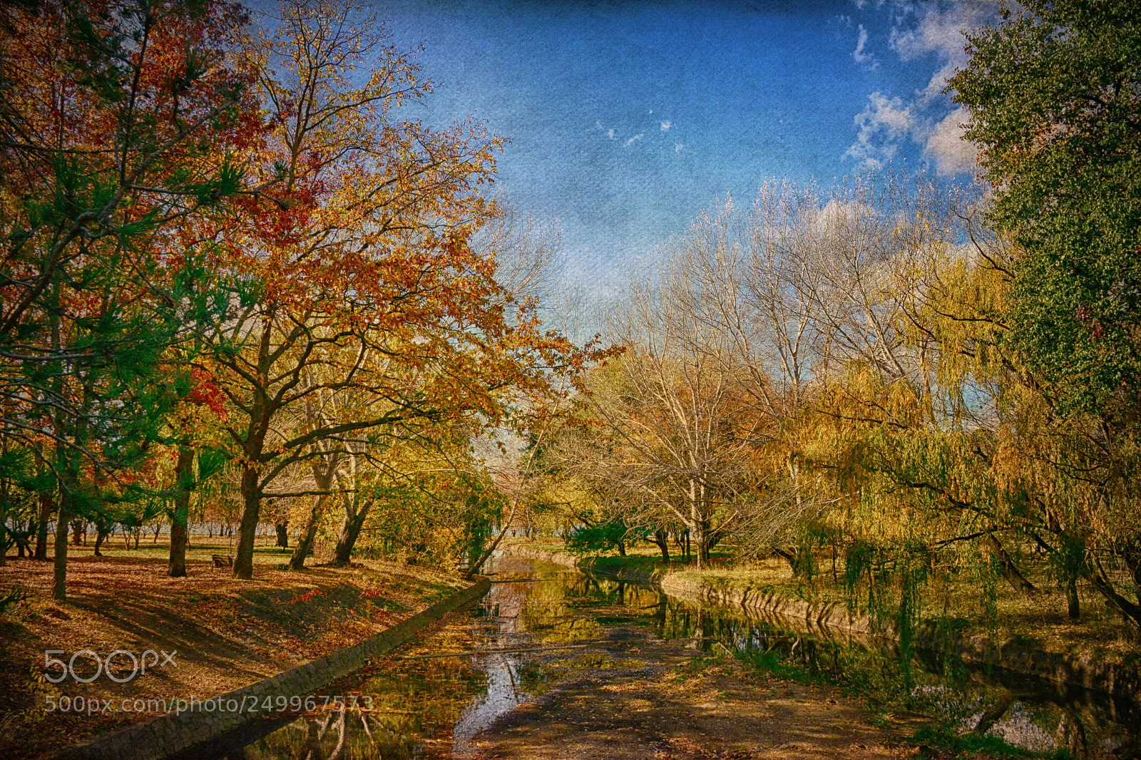 Nikon D800E sample photo. Golden autumn photography
