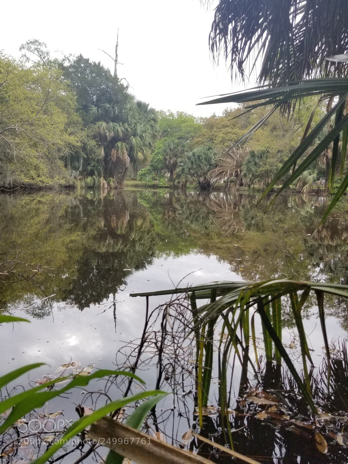 Samsung Galaxy S8+ sample photo. Untitled photography