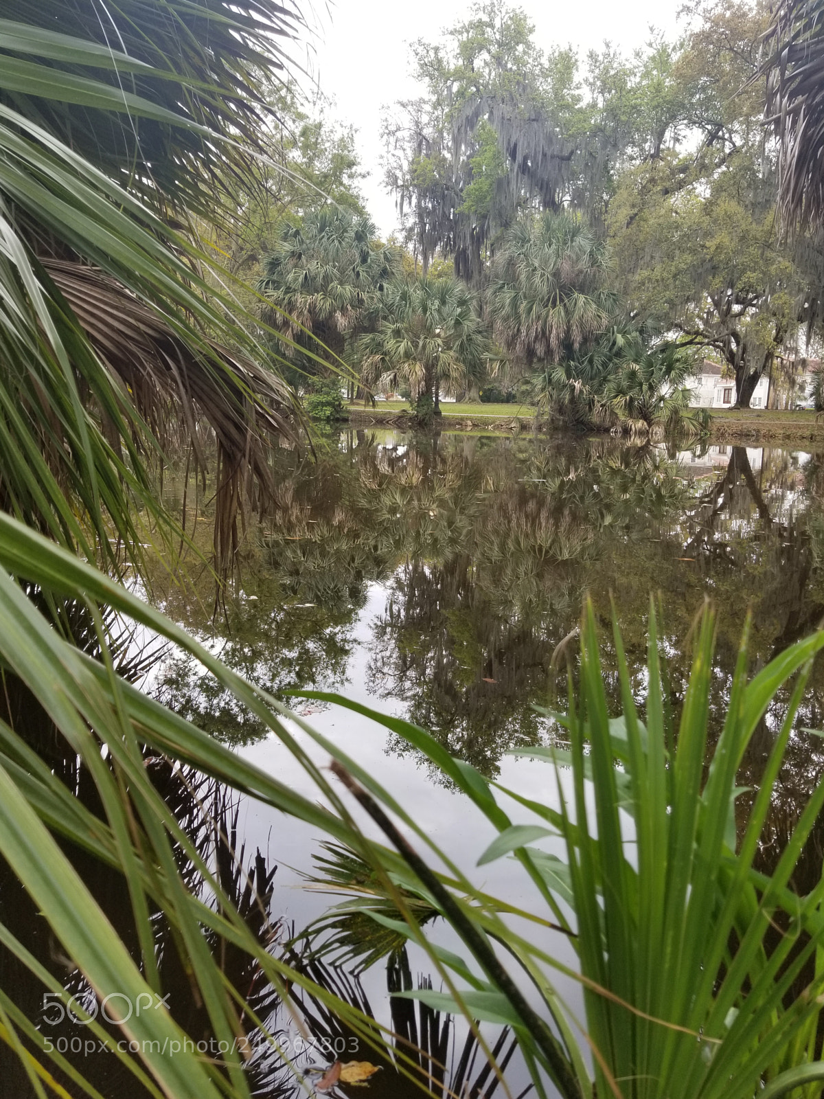 Samsung Galaxy S8+ sample photo. Untitled photography