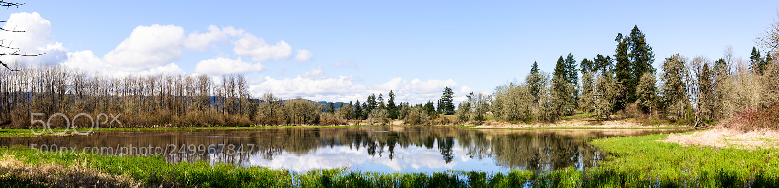 Nikon D800 sample photo. Wapato state park photography