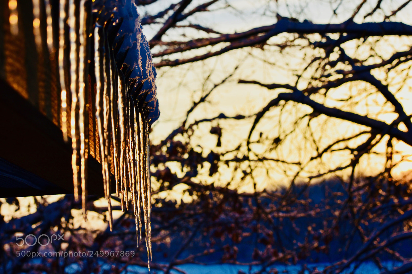 Nikon D3400 sample photo. Winter morning photography