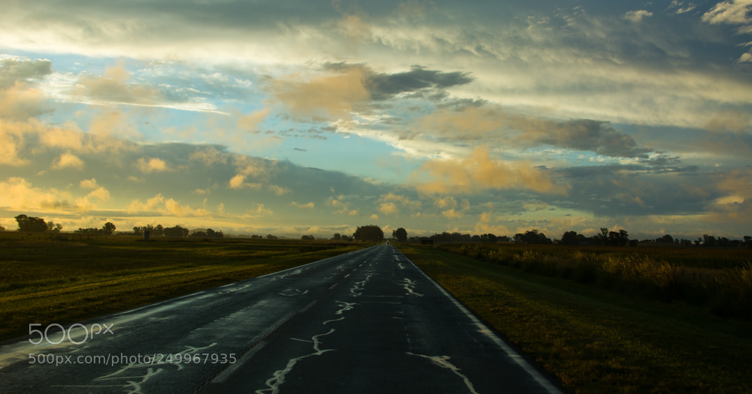 Nikon D7100 sample photo. Untitled photography