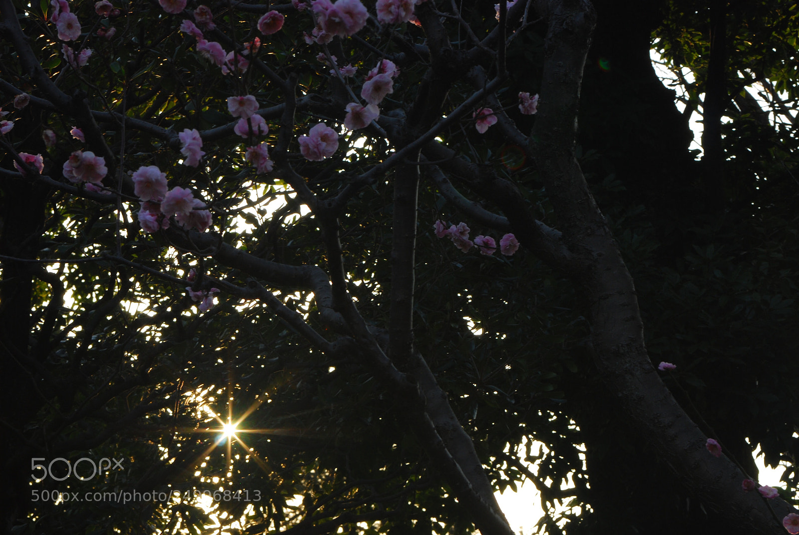 Nikon D80 sample photo. Untitled photography