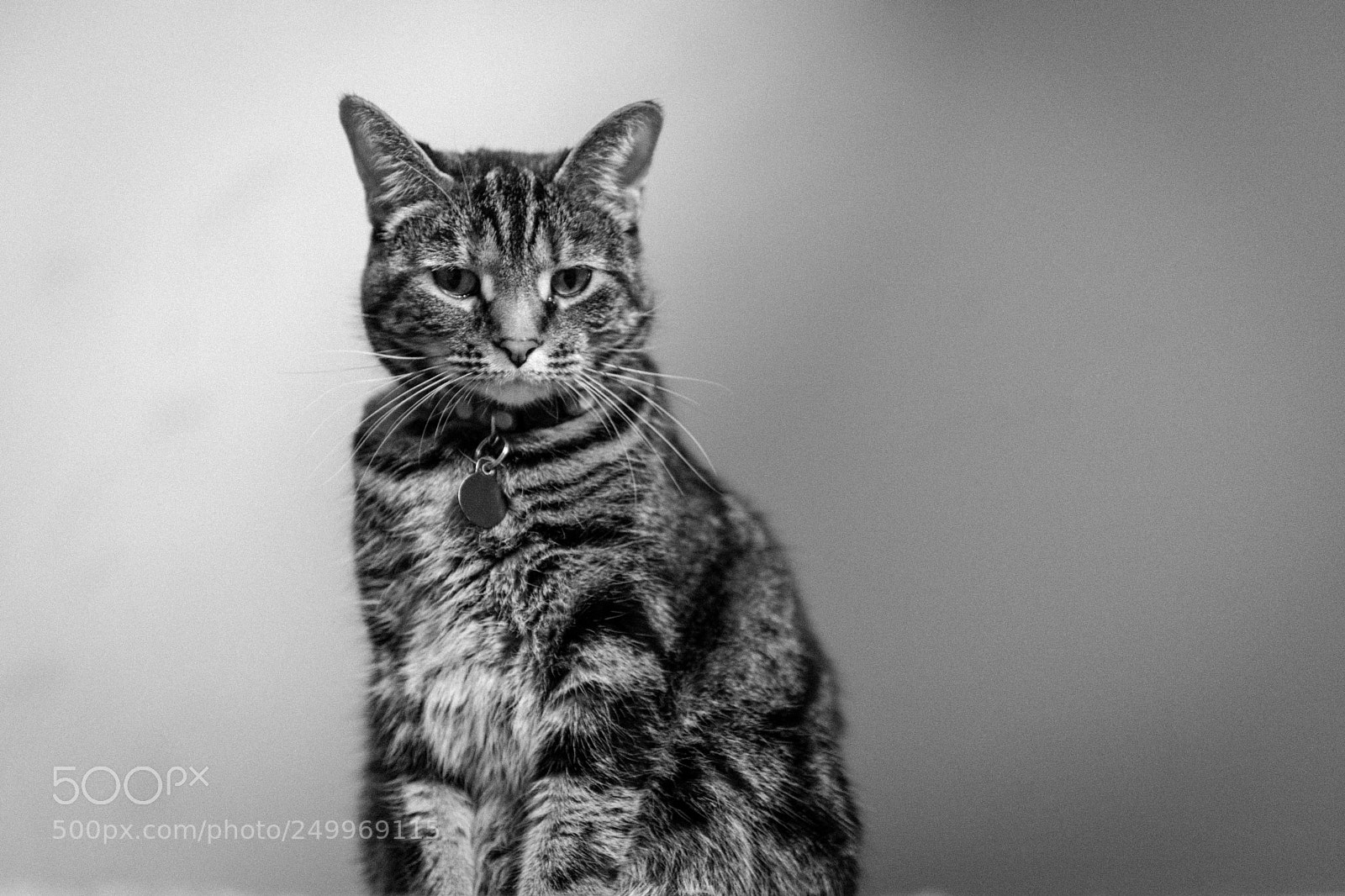 Nikon D7100 sample photo. Glare photography