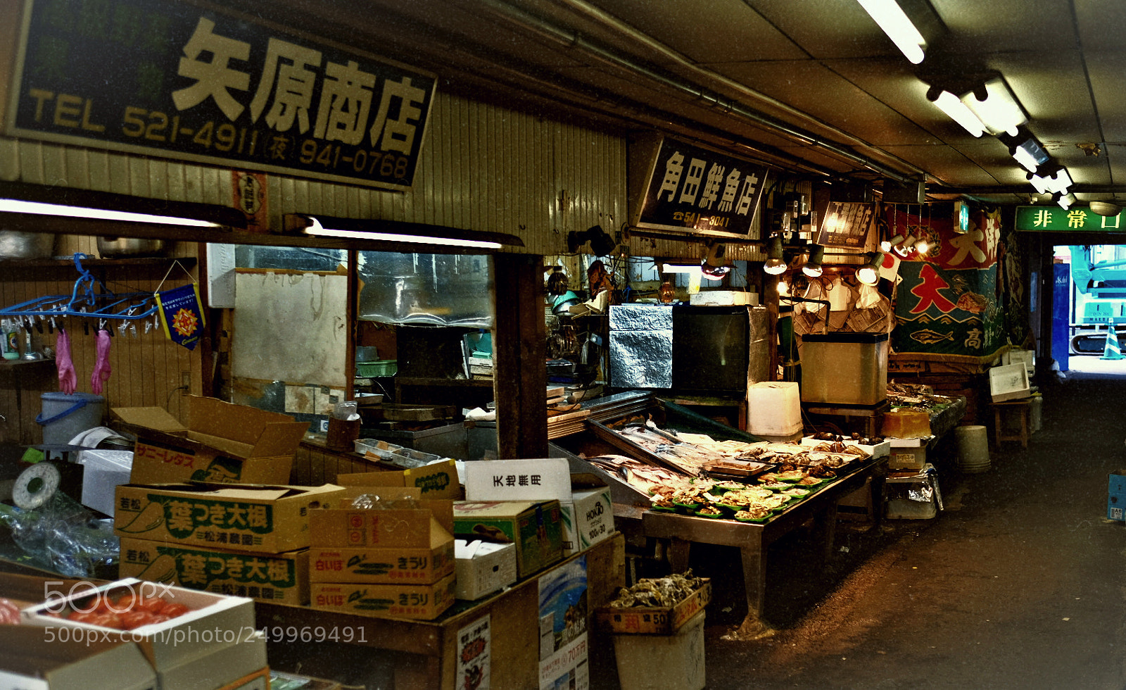 Fujifilm X-T2 sample photo. Untitled photography