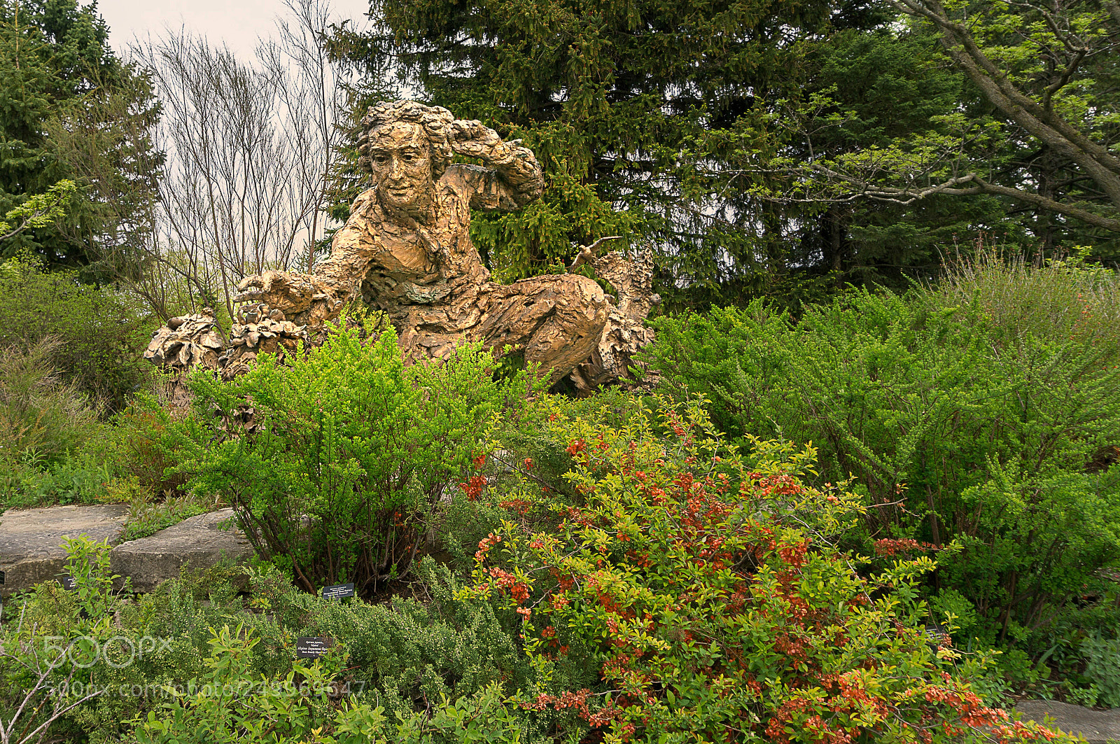 Sony a6000 sample photo. Sculpture in botanical garden photography