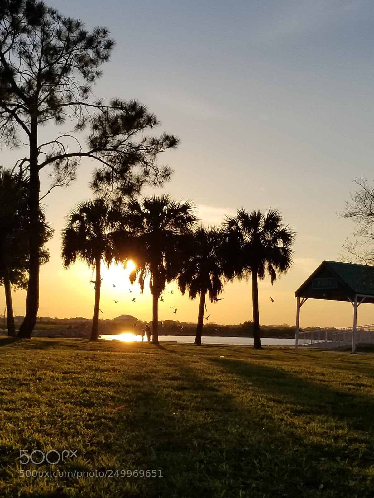 Samsung Galaxy S8+ sample photo. Untitled photography