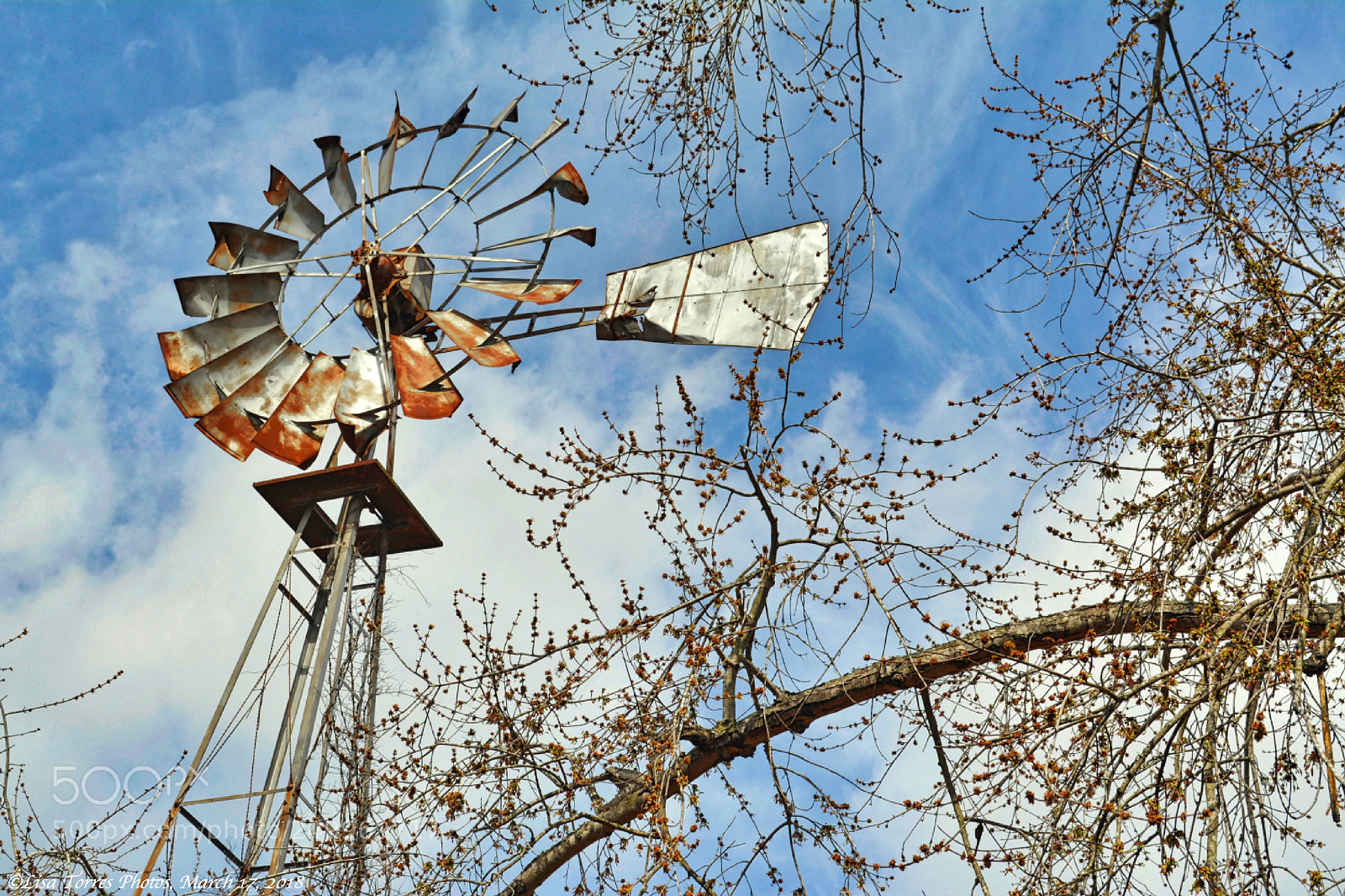 Nikon D5200 sample photo. Windmill photography