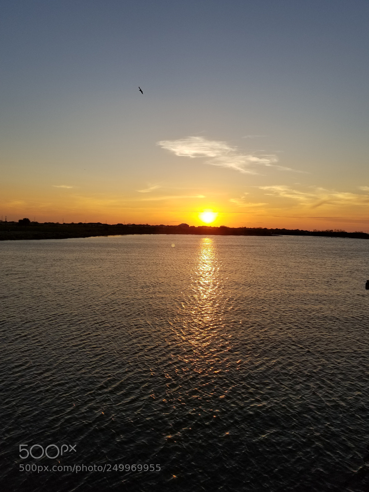 Samsung Galaxy S8+ sample photo. Untitled photography
