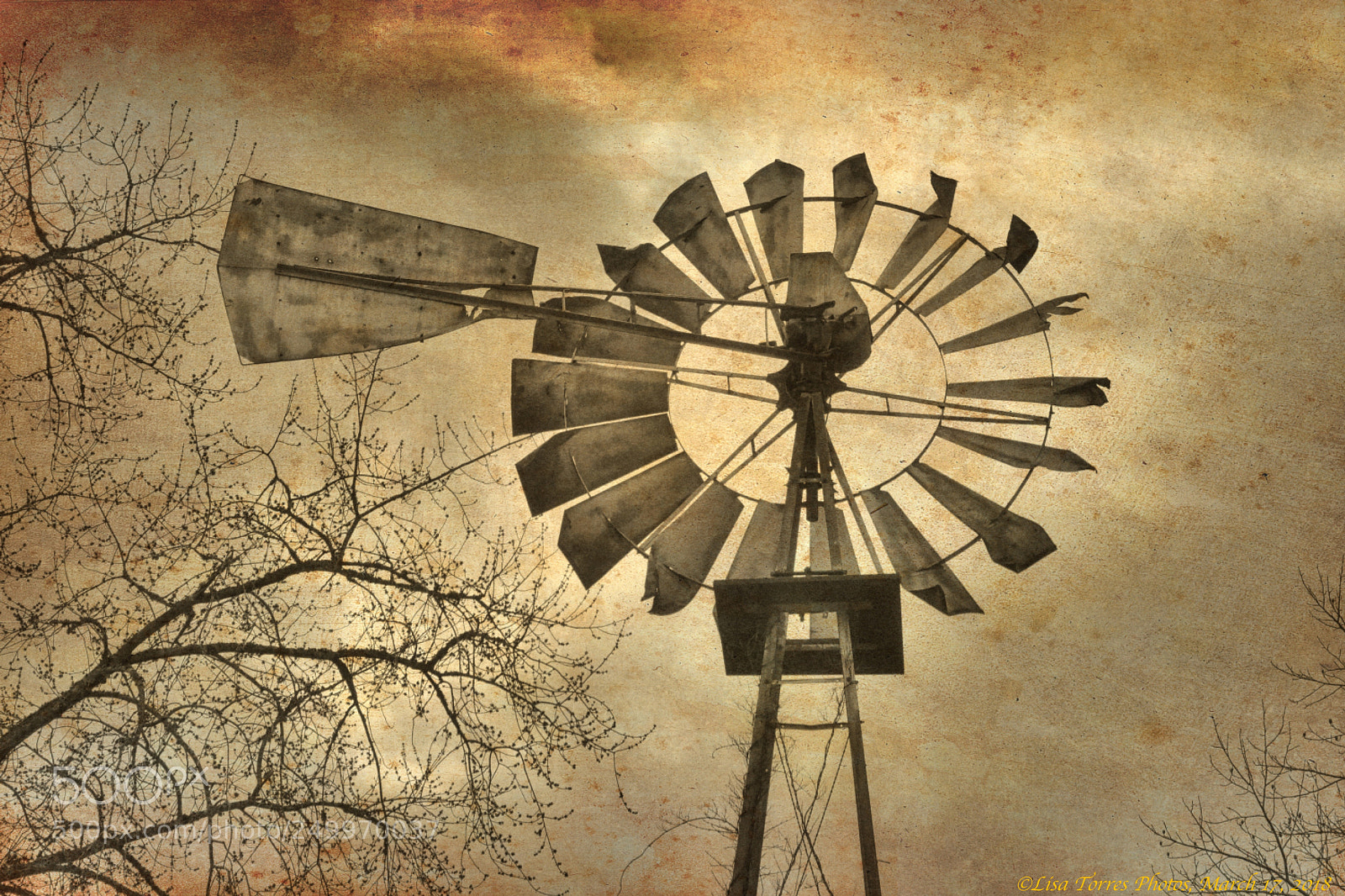 Nikon D5200 sample photo. Windmill1 photography