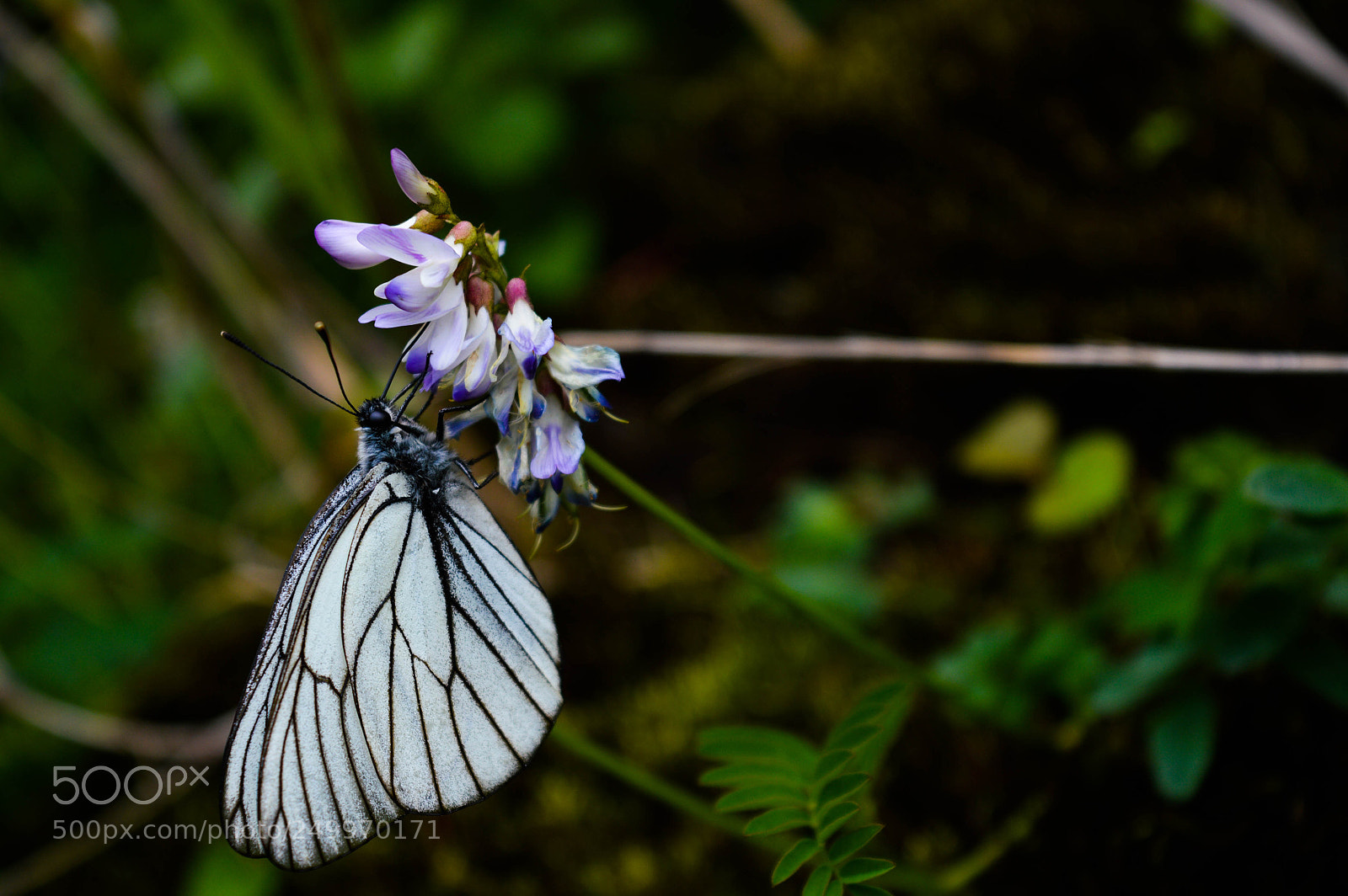 Nikon D3200 sample photo. Dsc photography