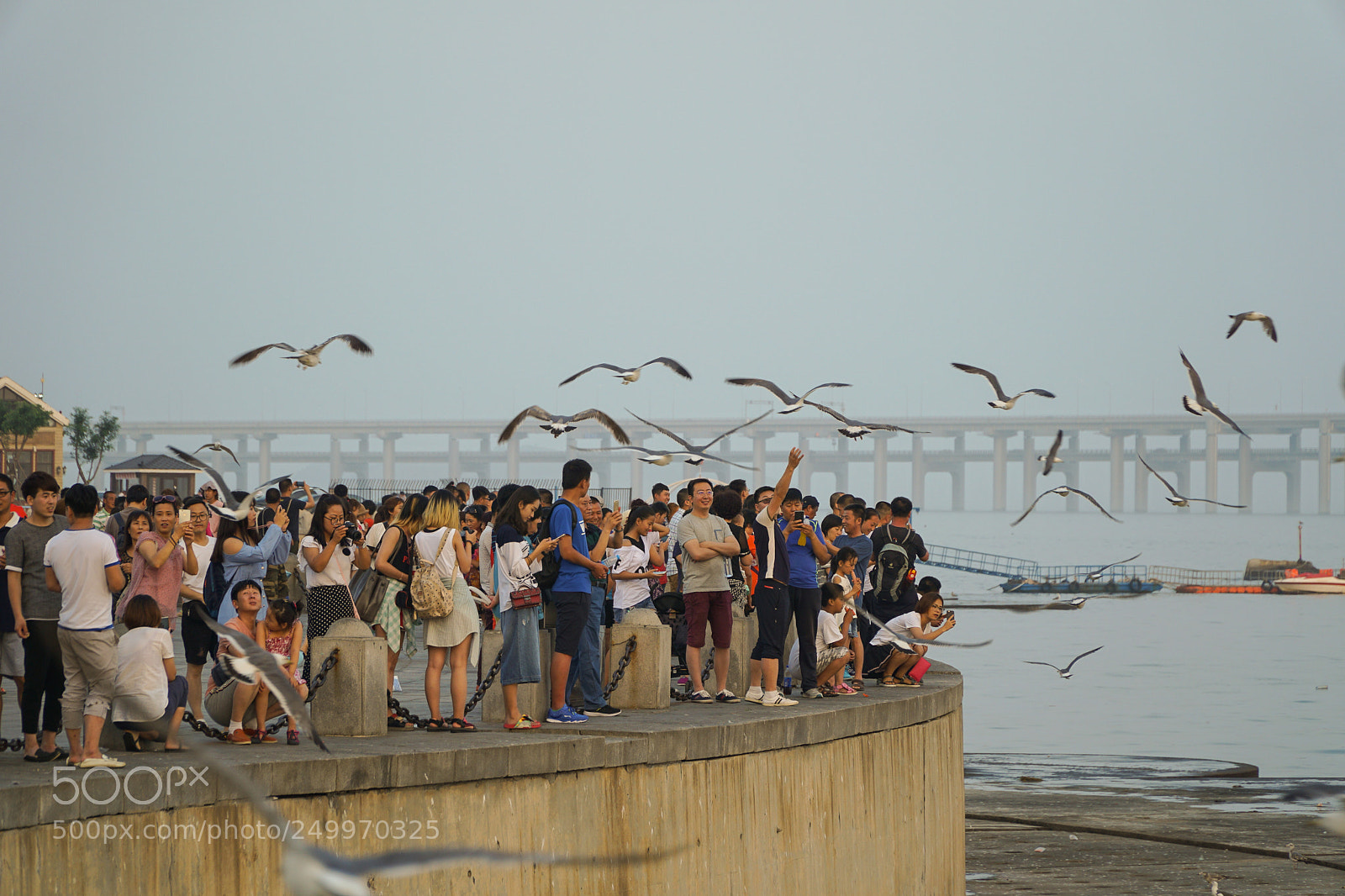 Sony a6000 sample photo. Dsc photography