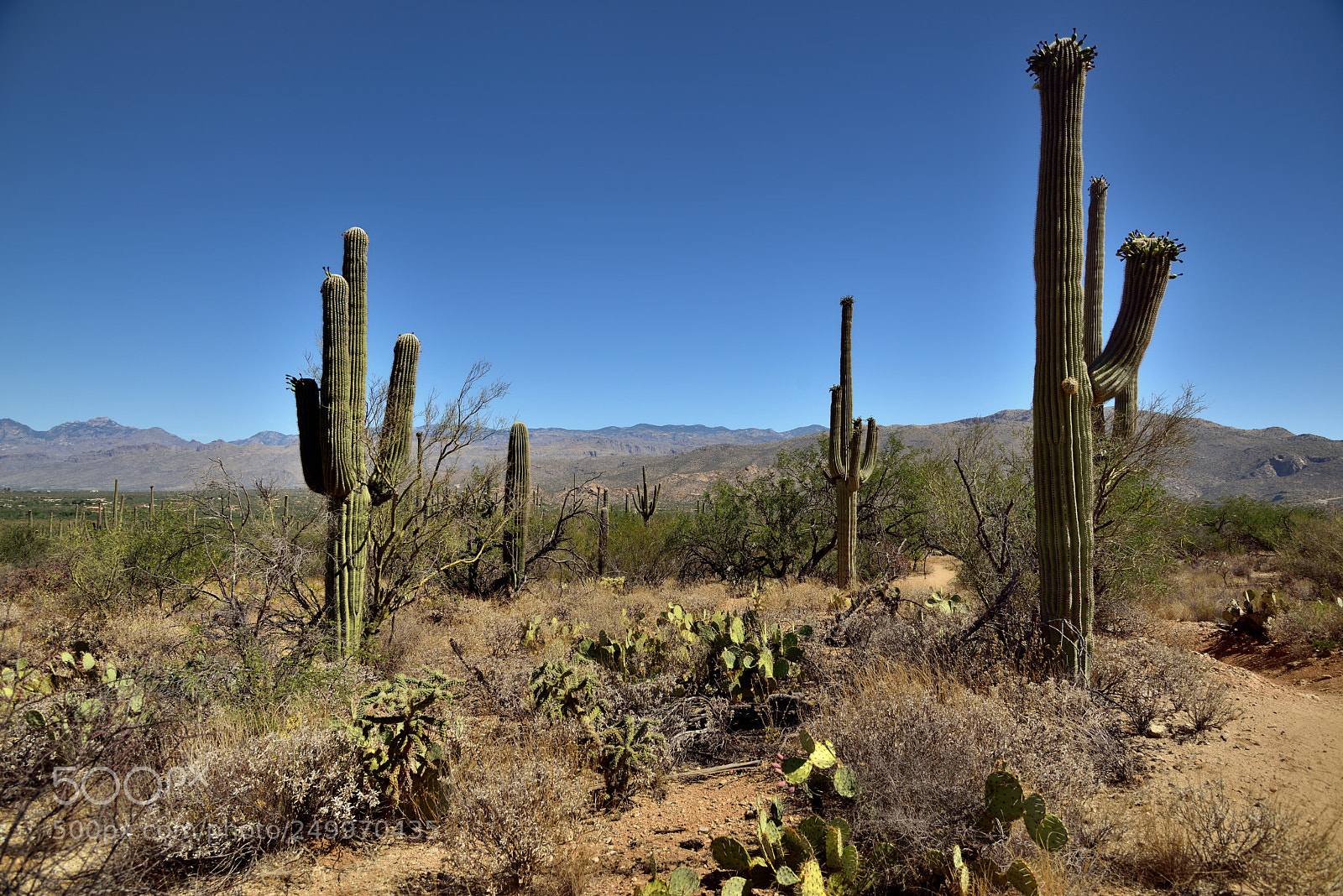 Nikon D800E sample photo. On the garwood trail photography