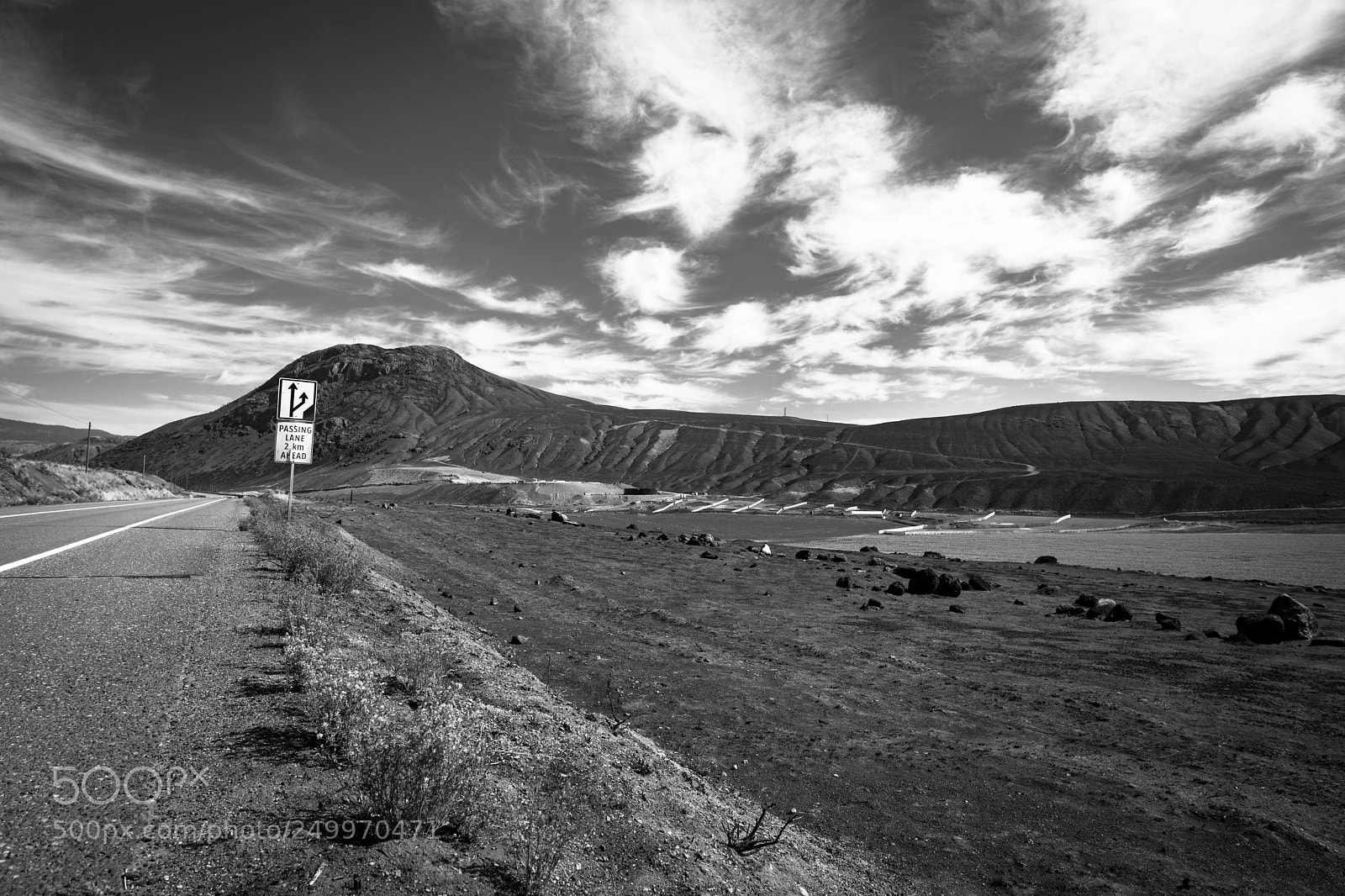 Canon EOS 6D Mark II sample photo. Finished field photography