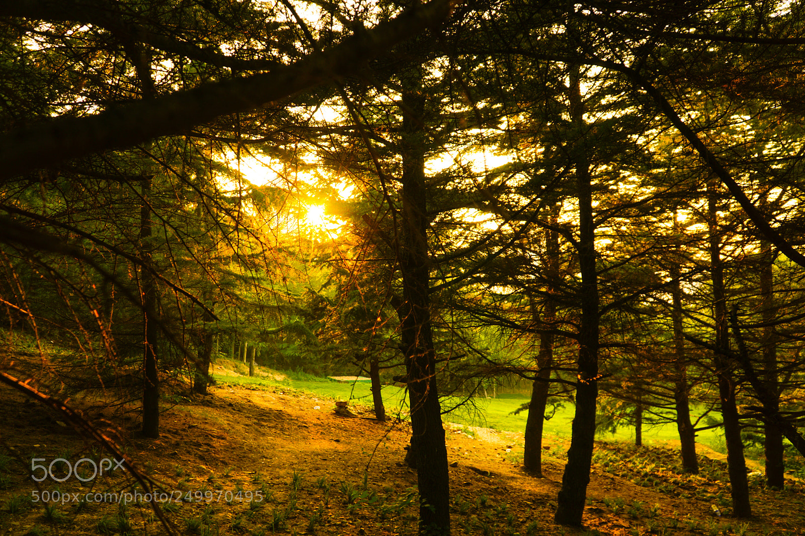 Sony a6000 sample photo. Dsc photography