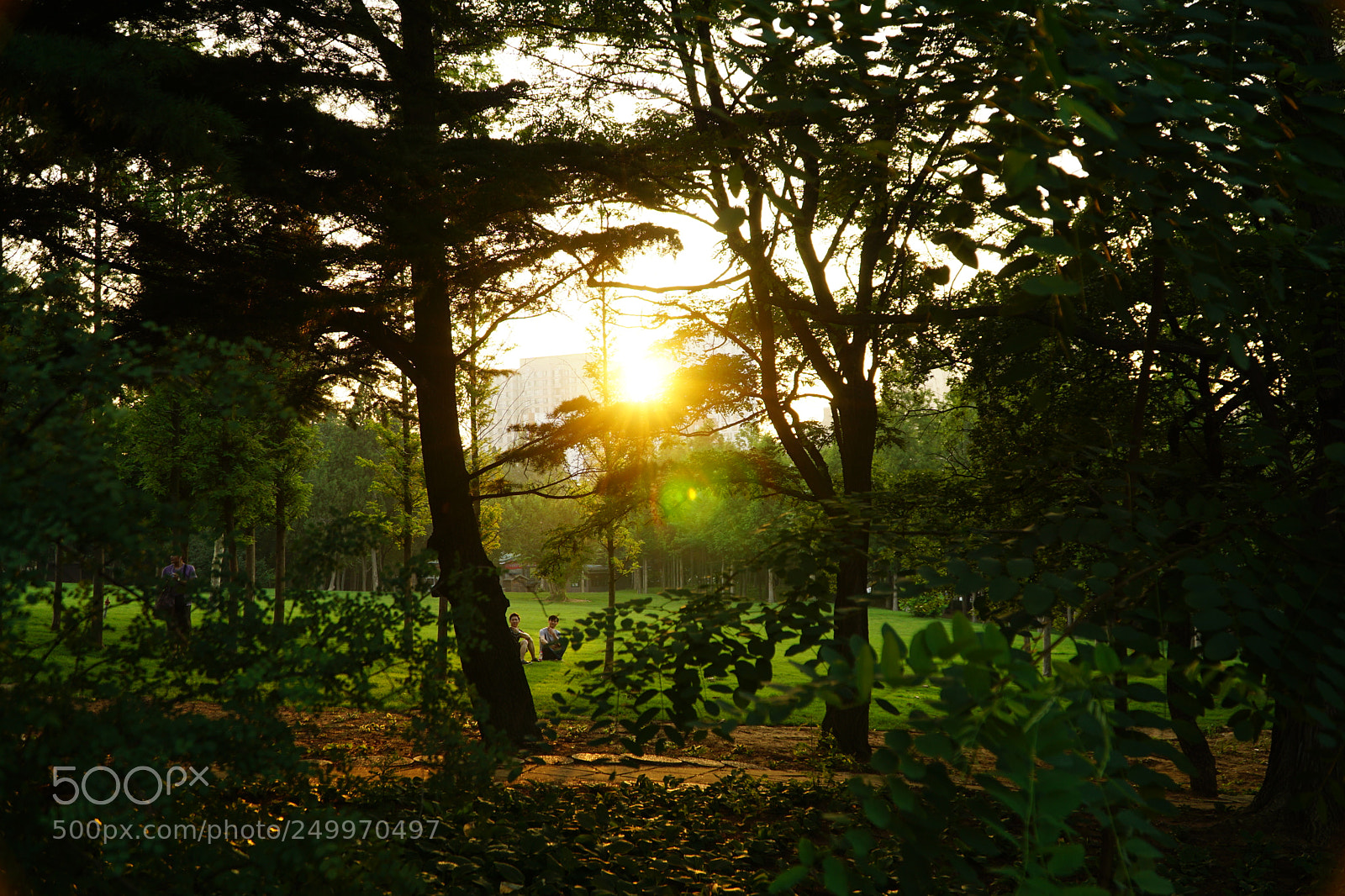 Sony a6000 sample photo. Dsc photography
