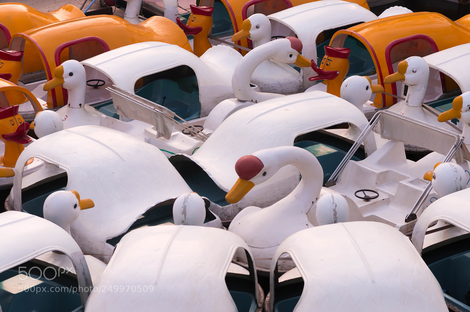 Nikon D610 sample photo. Untitled photography