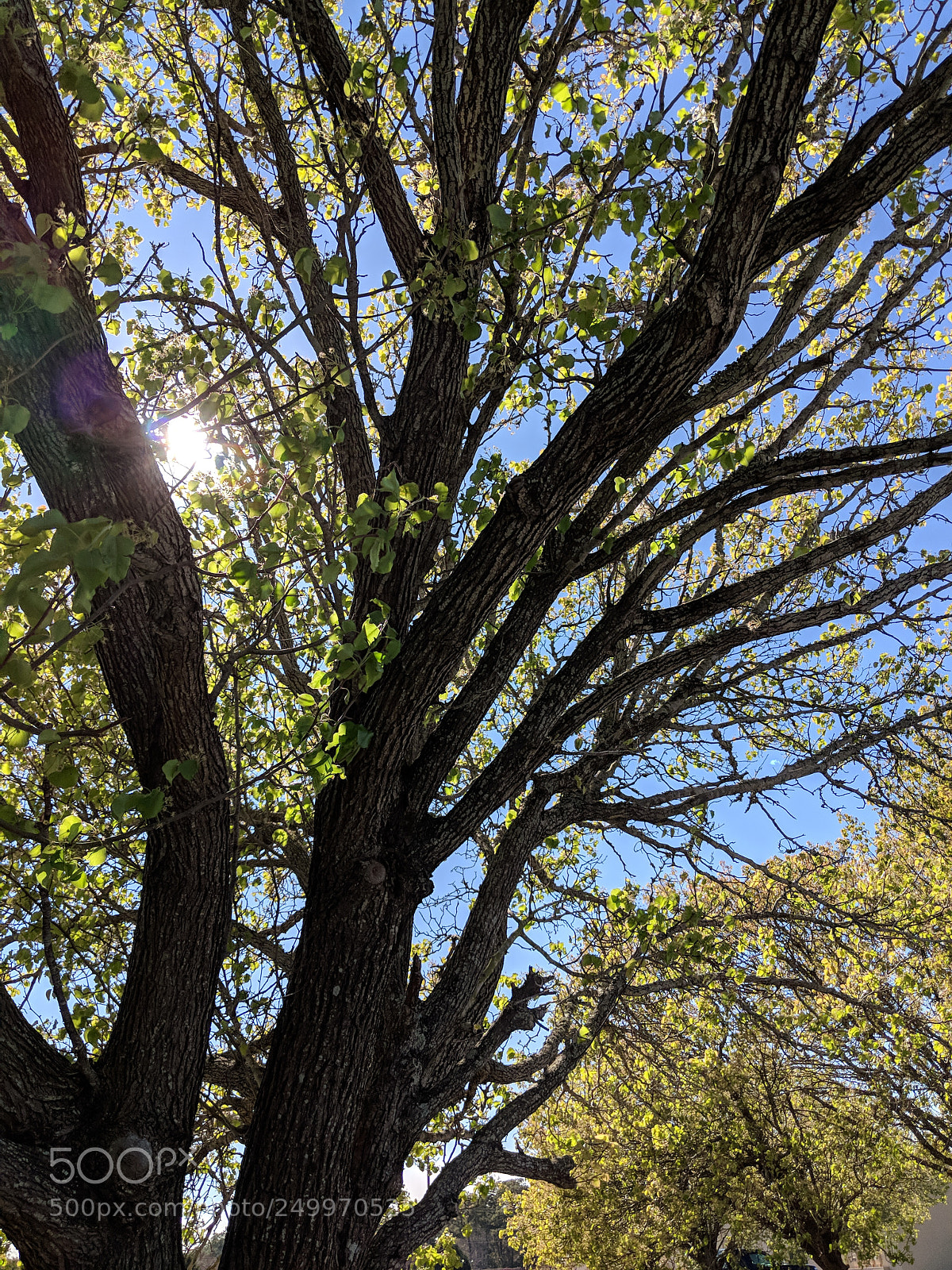 Google Pixel 2 XL sample photo. Untitled photography