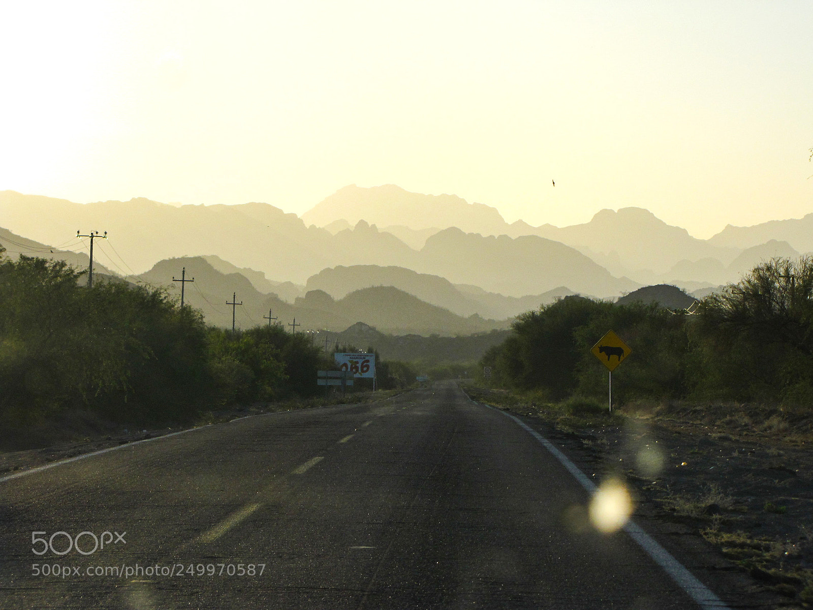 Canon PowerShot SX10 IS sample photo. Baja california sur i photography