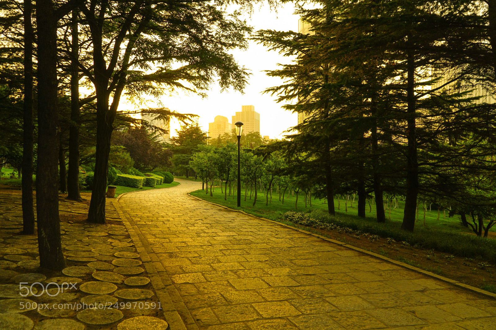 Sony a6000 sample photo. Dsc00882-2.jpg photography