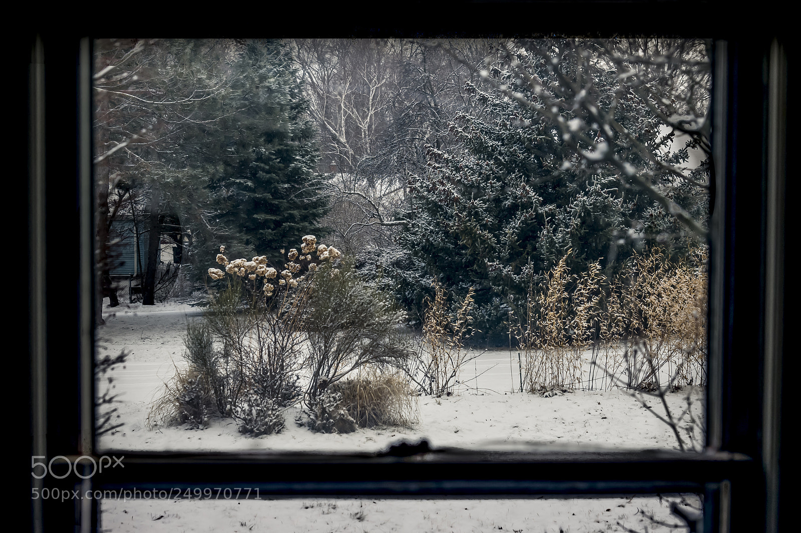 Leica SL (Typ 601) sample photo. Outside photography