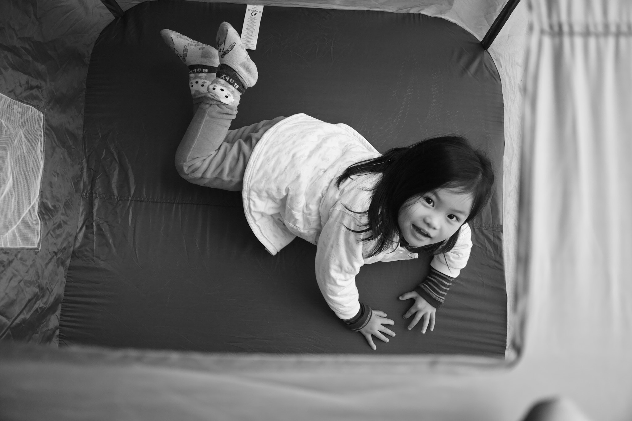 Sigma DP1 Merrill sample photo. 仰望 photography