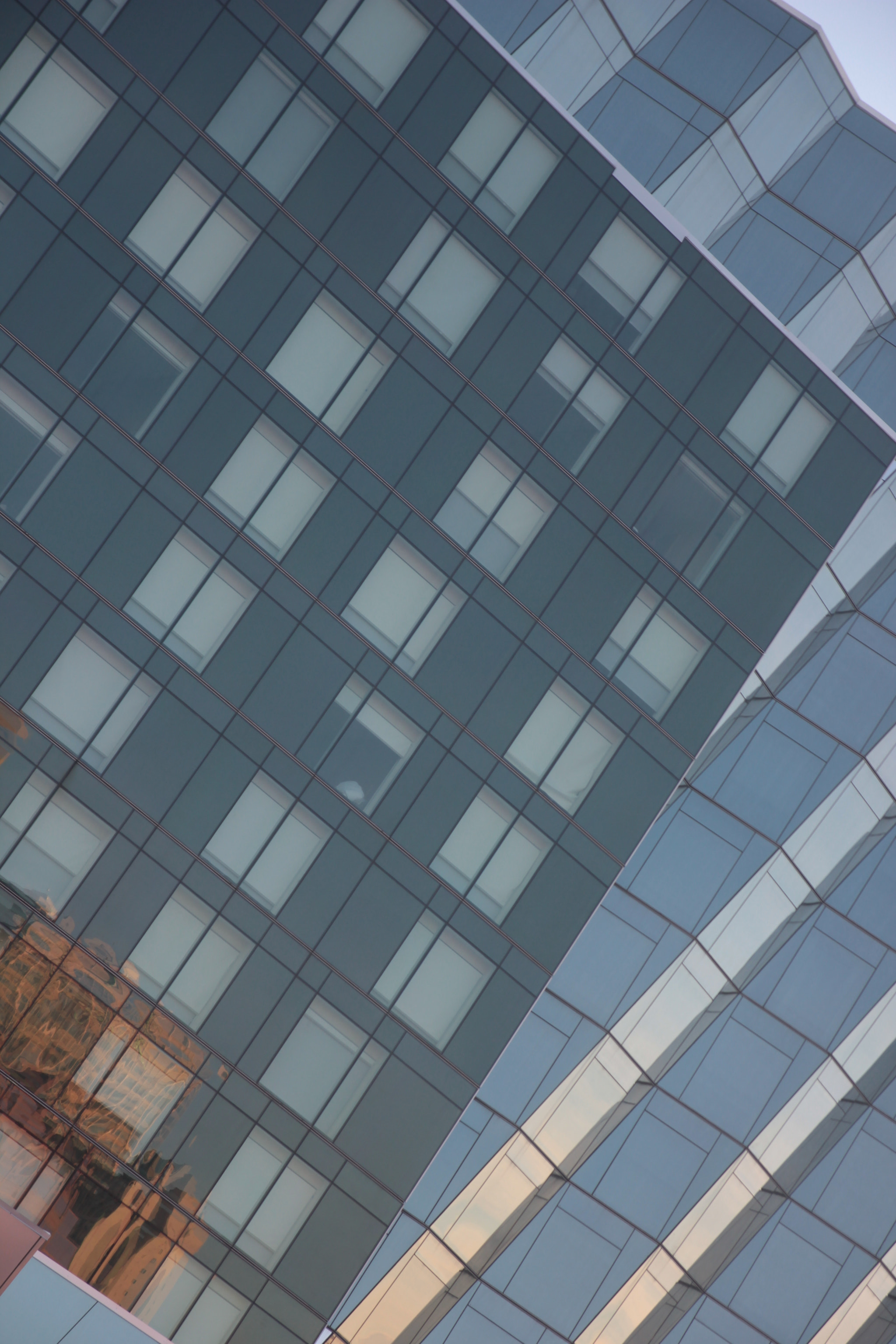 Canon EOS 550D (EOS Rebel T2i / EOS Kiss X4) sample photo. Glass wall window photography