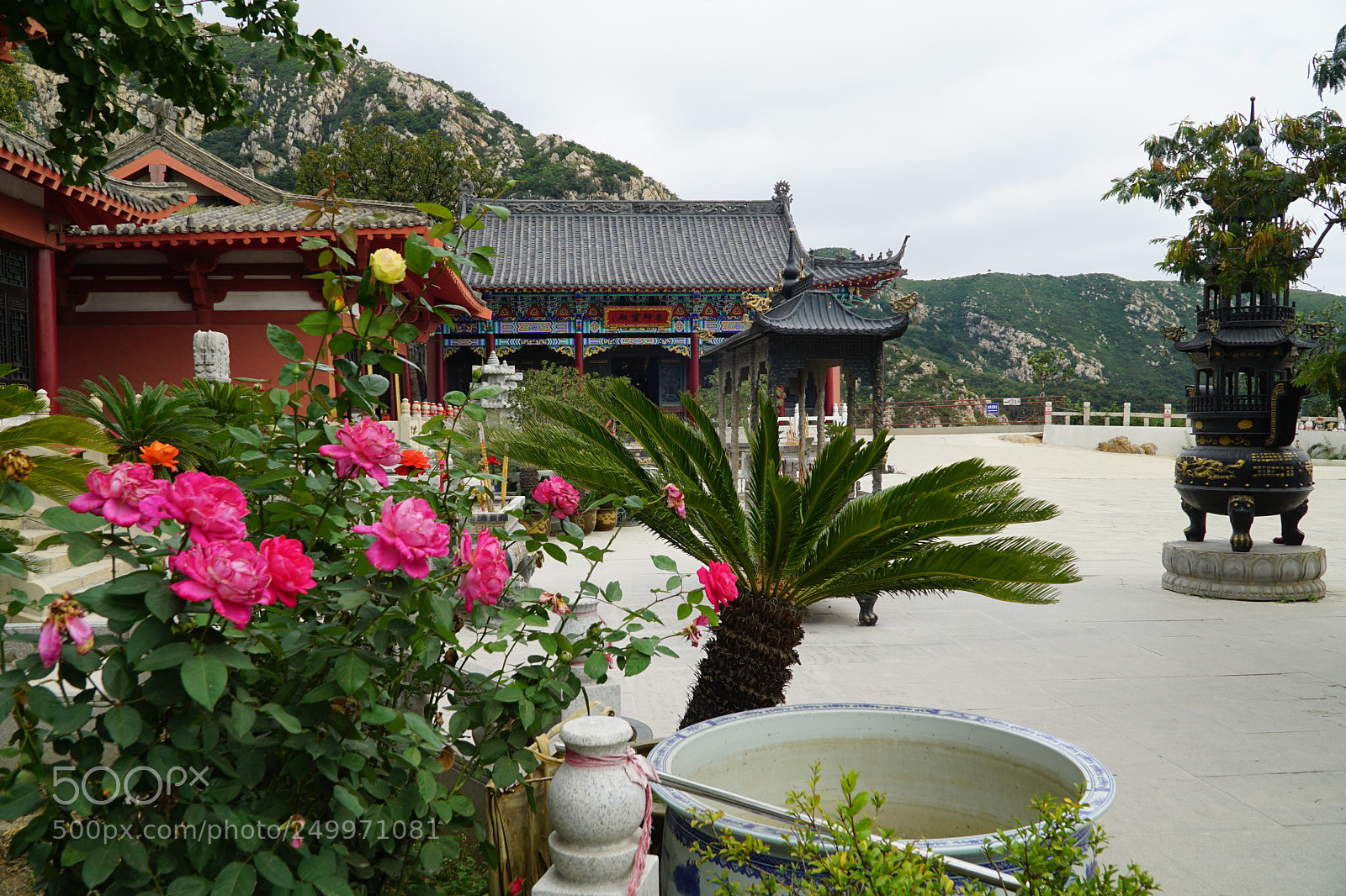 Sony a6000 sample photo. Dsc photography