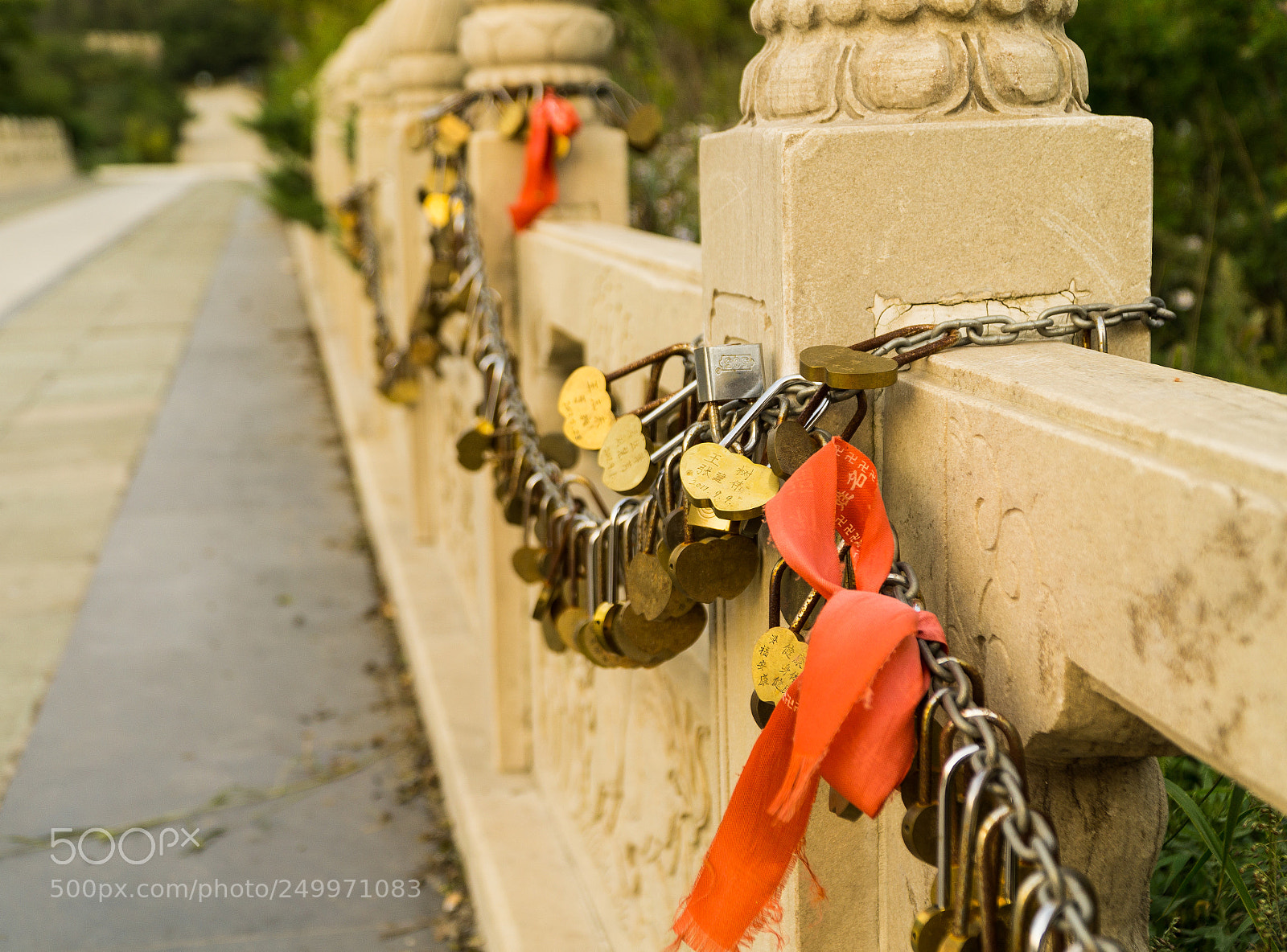 Sony a6000 sample photo. Dsc photography