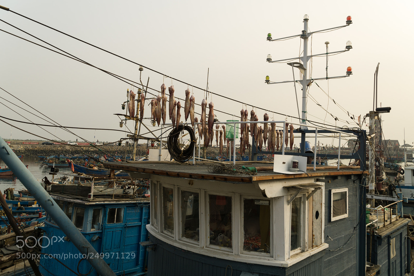 Sony a6000 sample photo. Dsc photography
