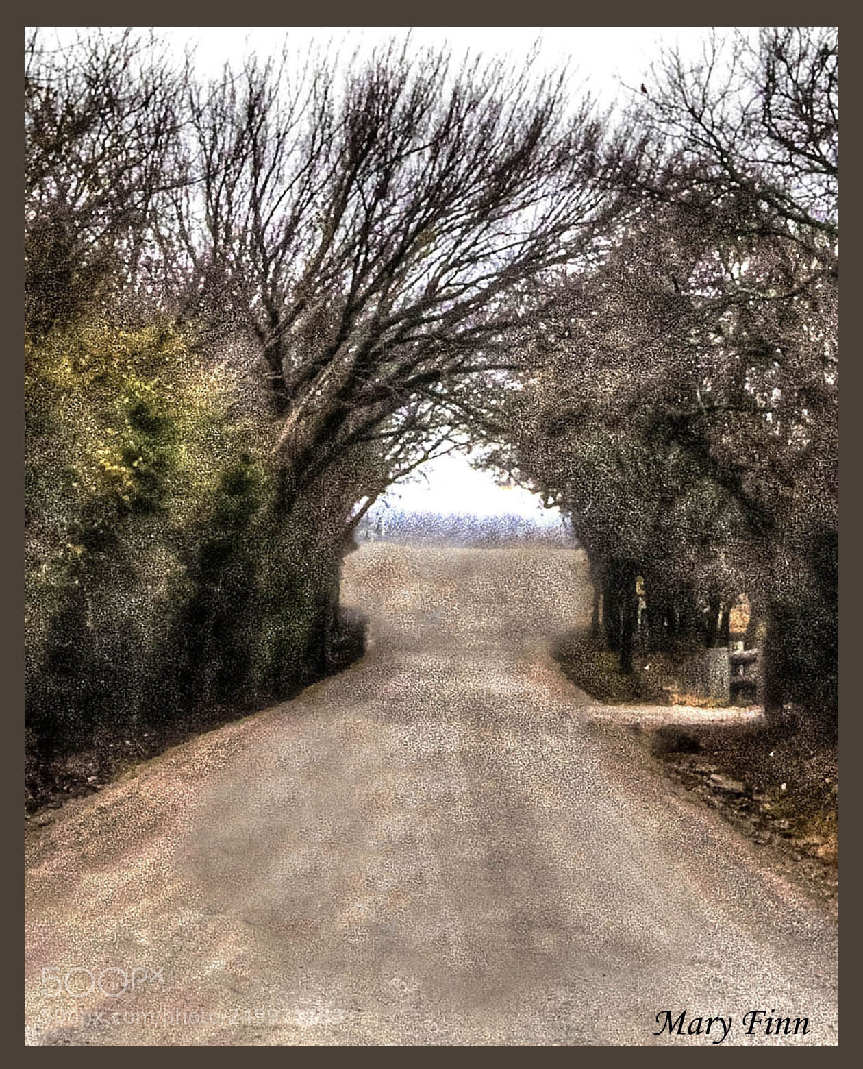 Nikon D7000 sample photo. R tonemapped photography