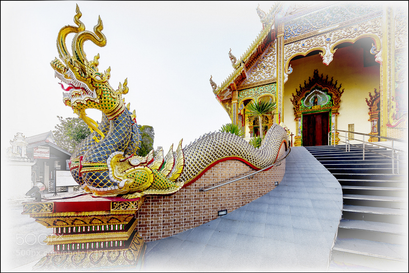 Nikon D850 sample photo. Encore un dragon photography