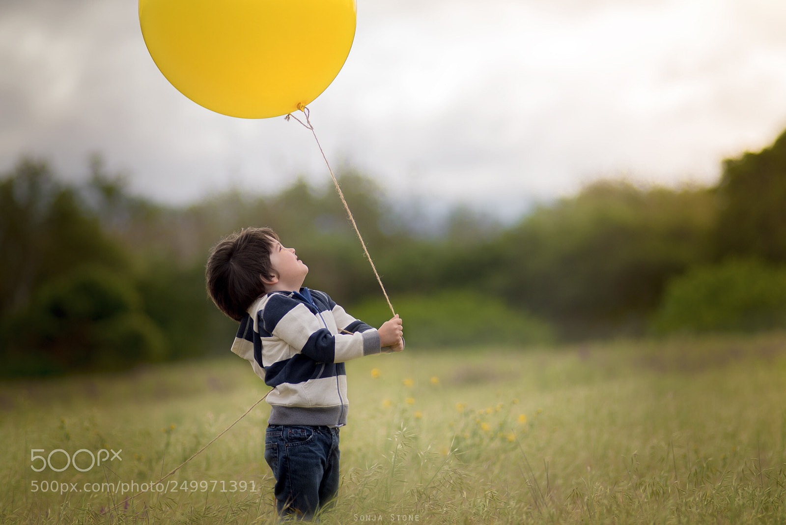 Nikon D600 sample photo. Balloon photography