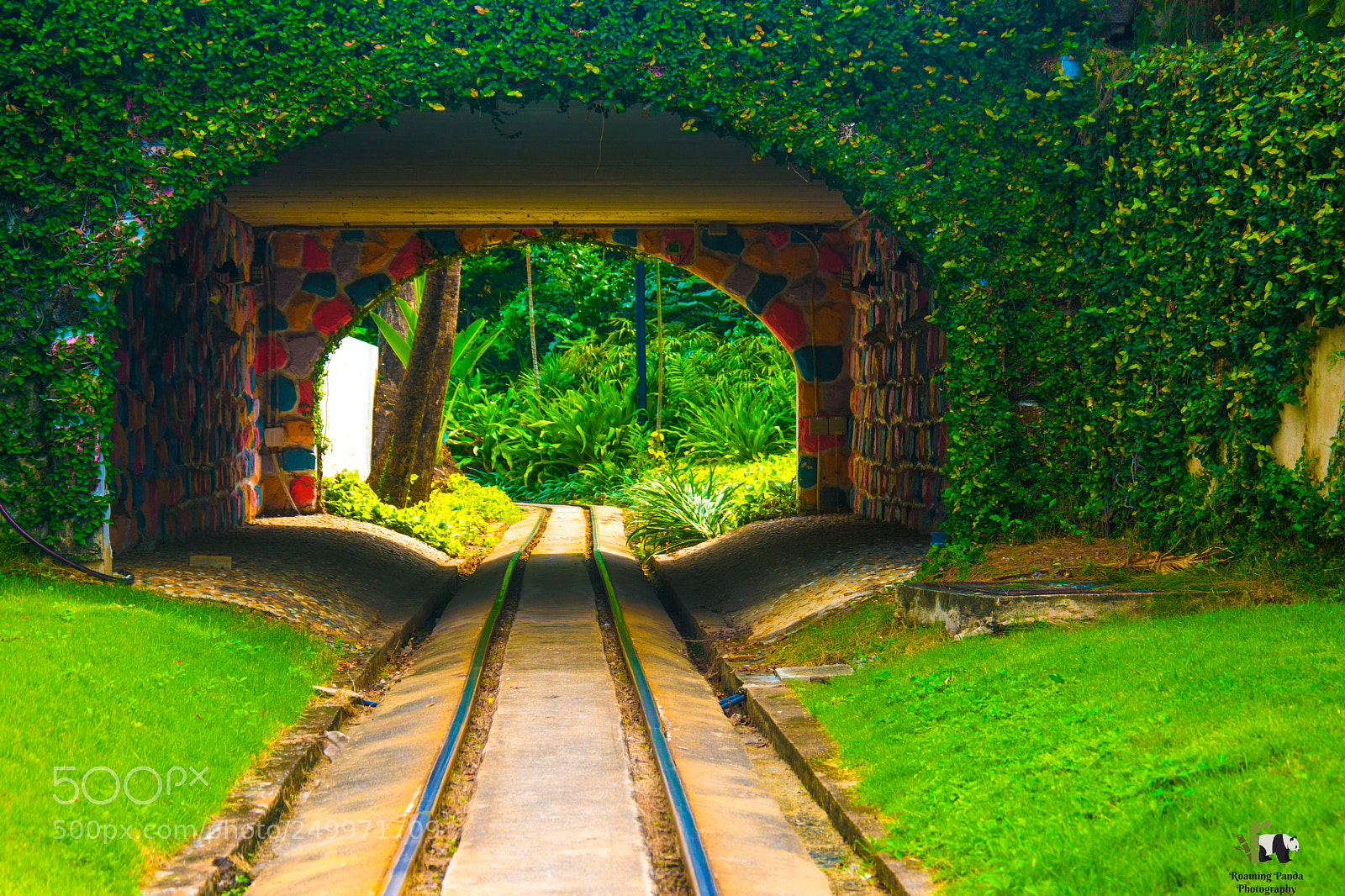 Nikon D7100 sample photo. Green train line photography