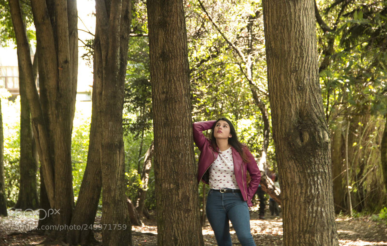 Canon EOS 60D sample photo. Untitled photography