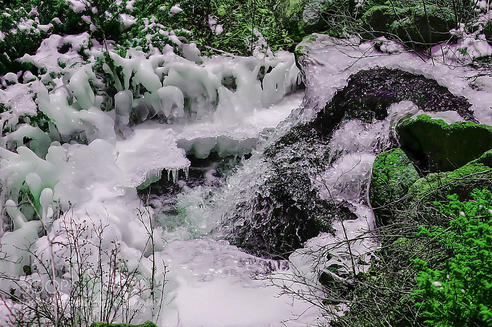 Nikon D3200 sample photo. Untitled photography