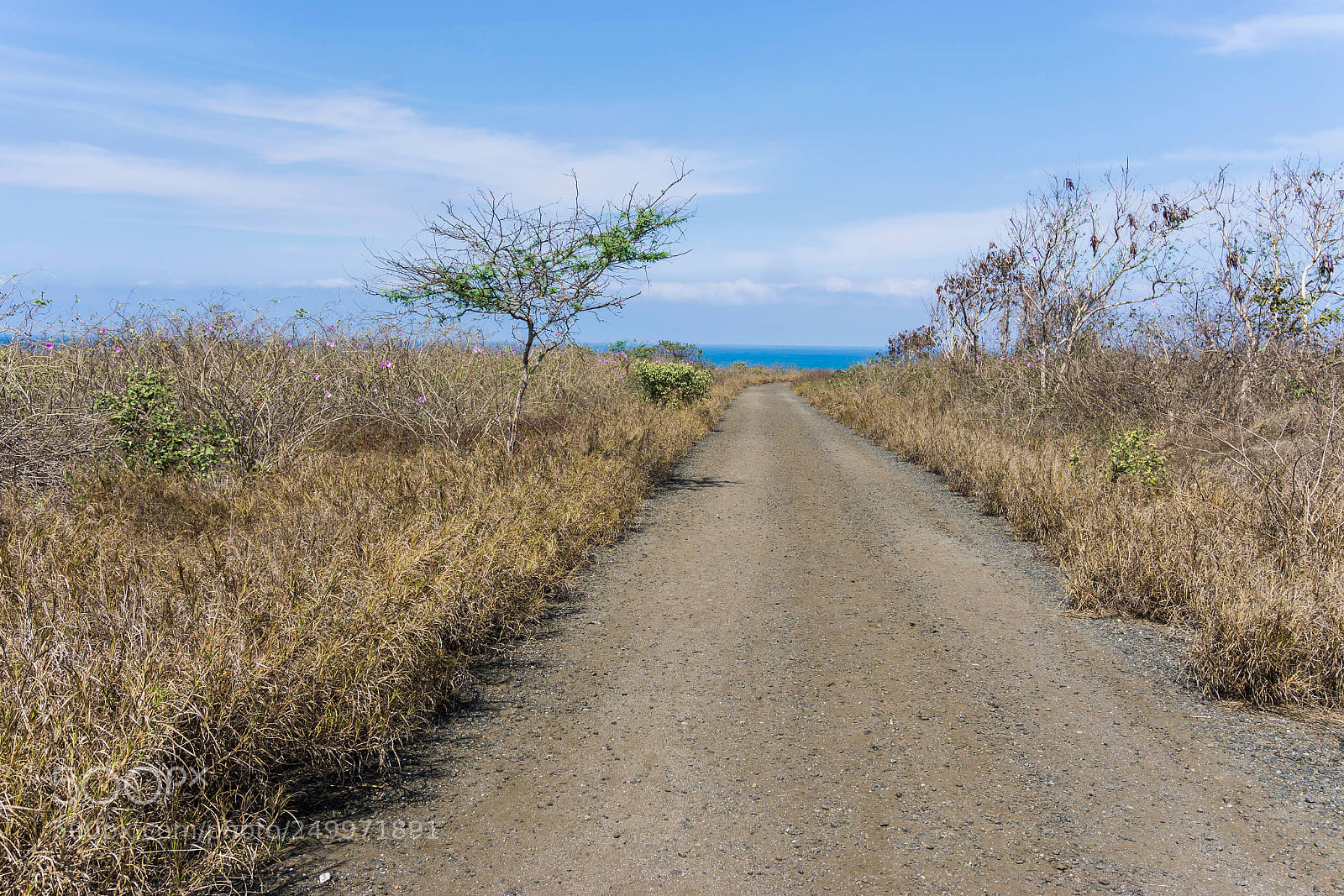 Sony a6000 sample photo. Dsc photography