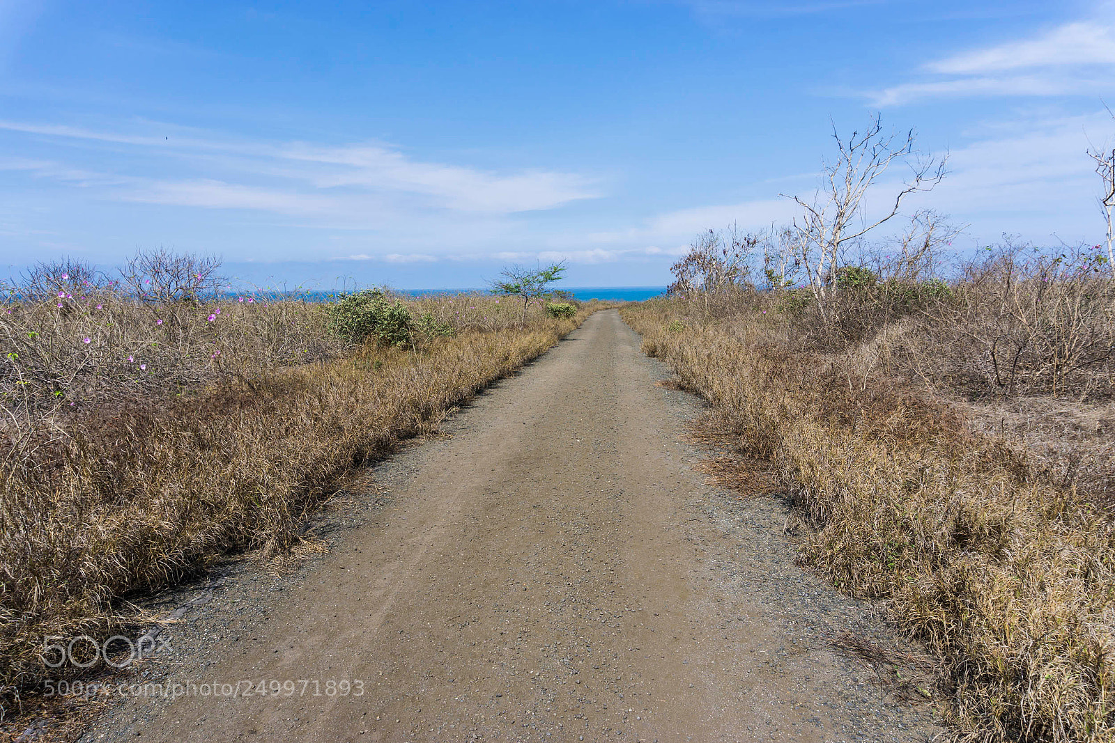 Sony a6000 sample photo. Dsc photography