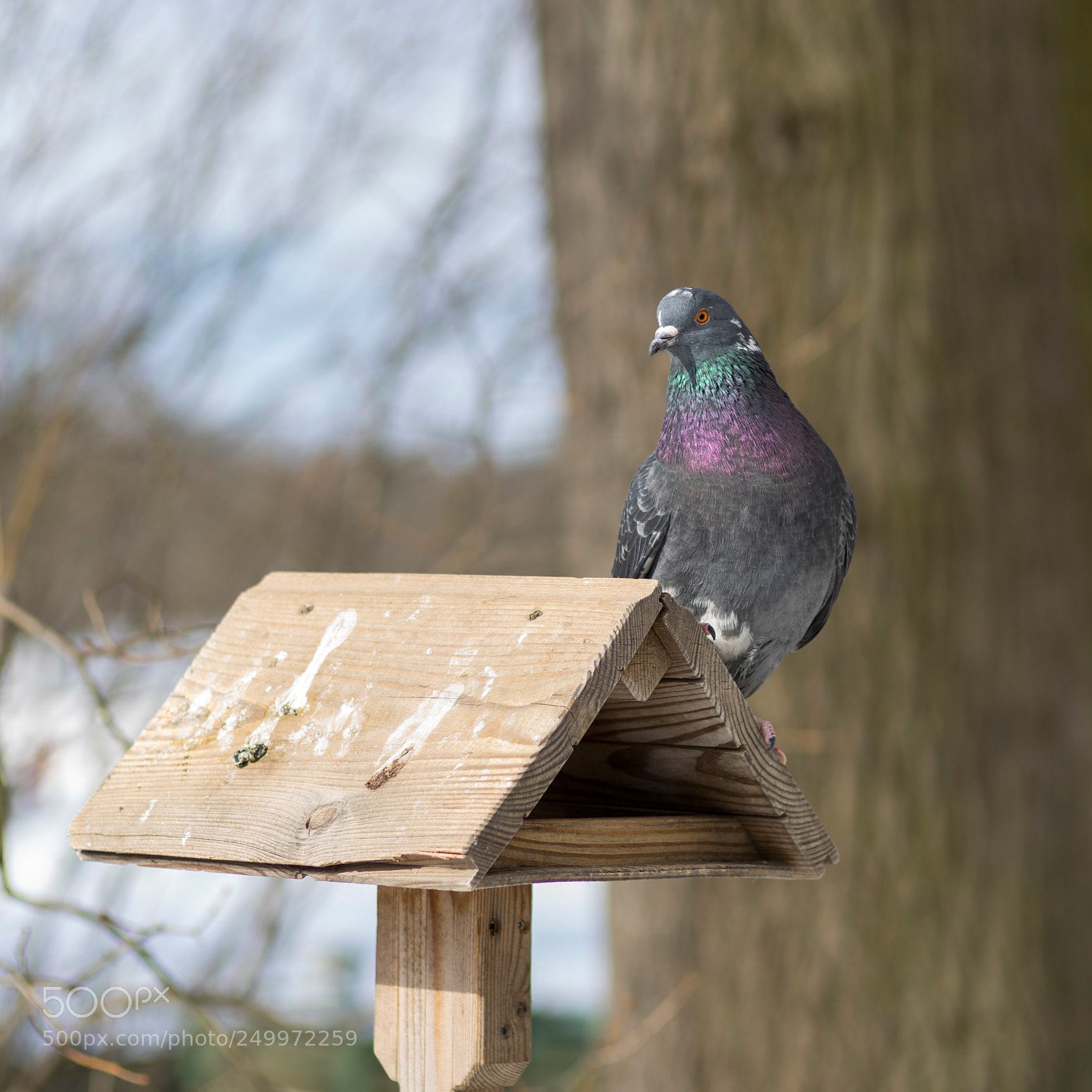 Sony a7 II sample photo. *** photography