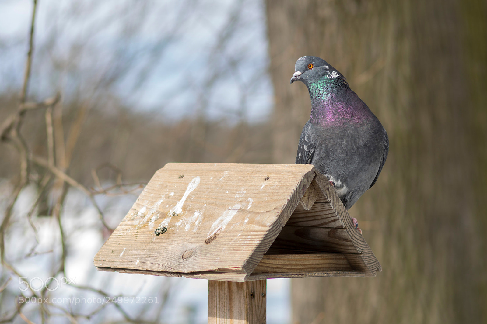 Sony a7 II sample photo. *** photography