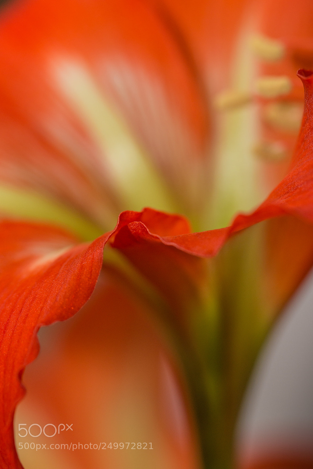 Canon EOS 70D sample photo. Illusion photography