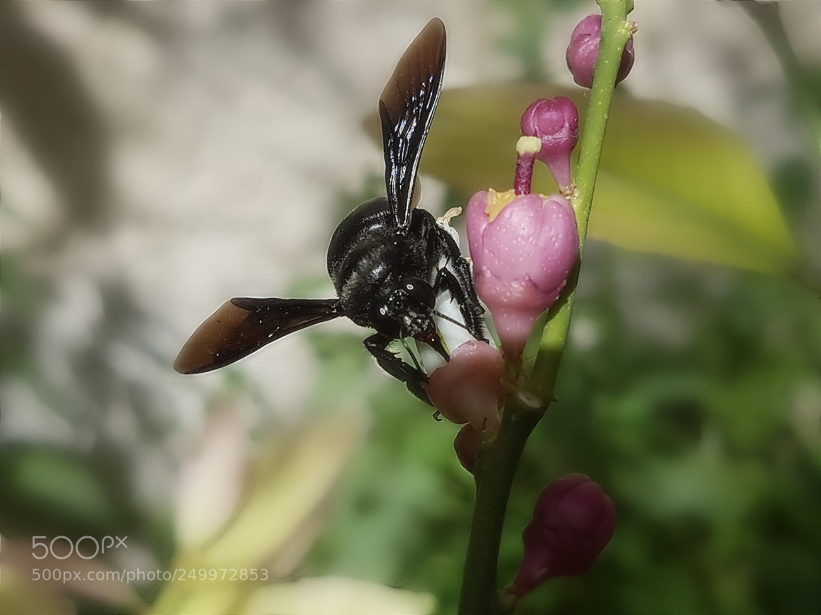 Samsung Galaxy S7 Edge sample photo. Untitled photography