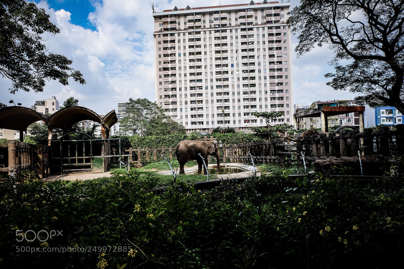 Fujifilm X-T10 sample photo. Trapped in the city photography